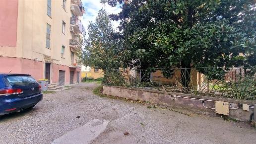 immagine annuncio 11 di 14