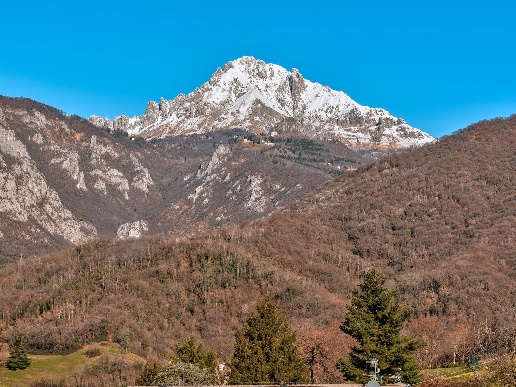 immagine annuncio 2 di 13