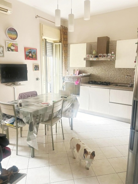 immagine annuncio 4 di 12