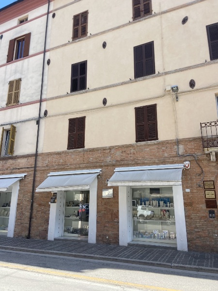 immagine annuncio 11 di 14