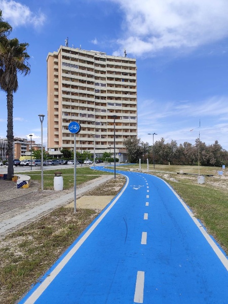 immagine annuncio 10 di 11
