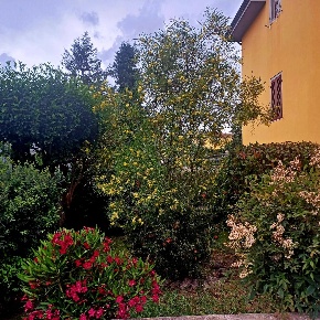 Foto Casa indipendente a Santa Croce sull'Arno Staffoli di 280 m²