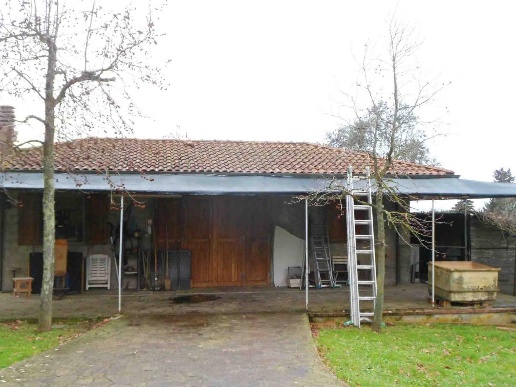 immagine annuncio 9 di 13