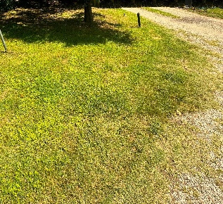 Foto Appartamento a Montelupo Fiorentino Centro di 110 m² con 4 locali