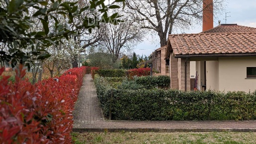 Foto Appartamento a Castiglione del Lago Contrada Prati di 80 m² in vendita