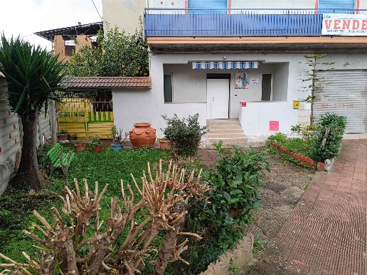 immagine annuncio 2 di 14