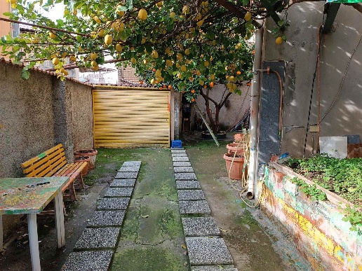 immagine annuncio 5 di 14