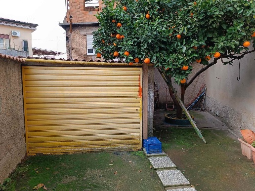 immagine annuncio 7 di 14