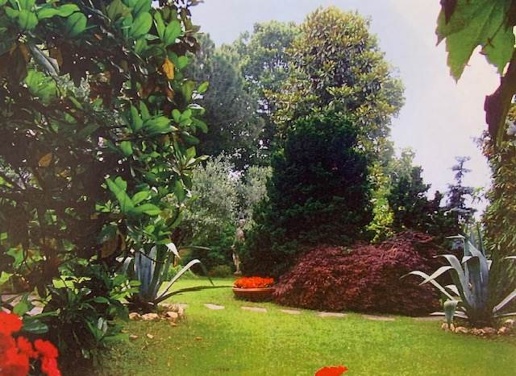 immagine annuncio 4 di 15