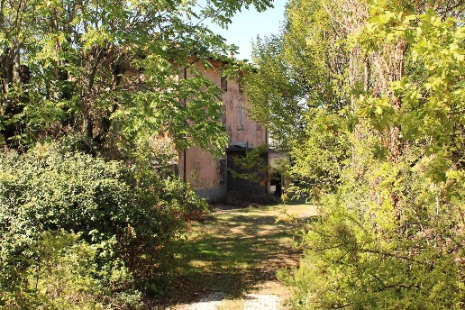immagine annuncio 3 di 14