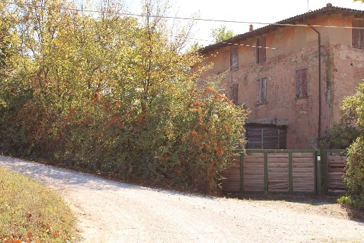 immagine annuncio 11 di 14