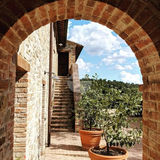 immagine annuncio 9 di 12