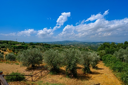 Foto Villa in via Imprunetana per pozzolatico, Impruneta in vendita
