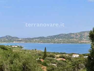 Foto Appartamento a Olbia in vendita
