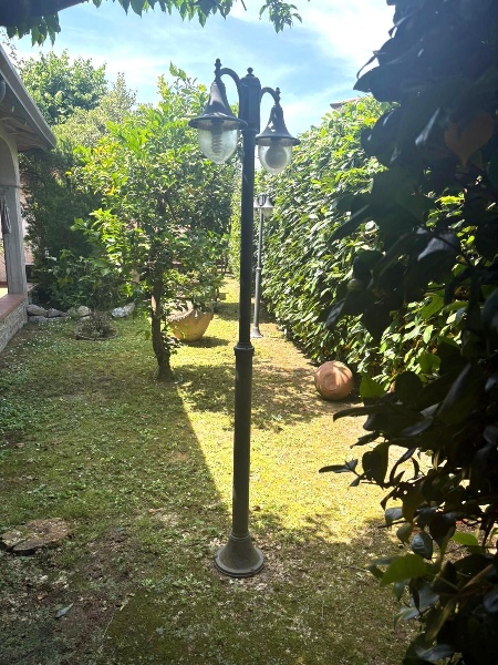 immagine annuncio 10 di 12