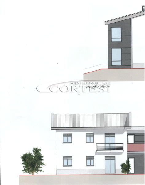 immagine annuncio 2 di 12