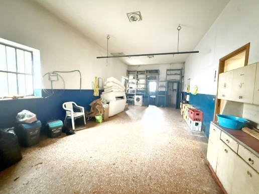 immagine annuncio 5 di 6