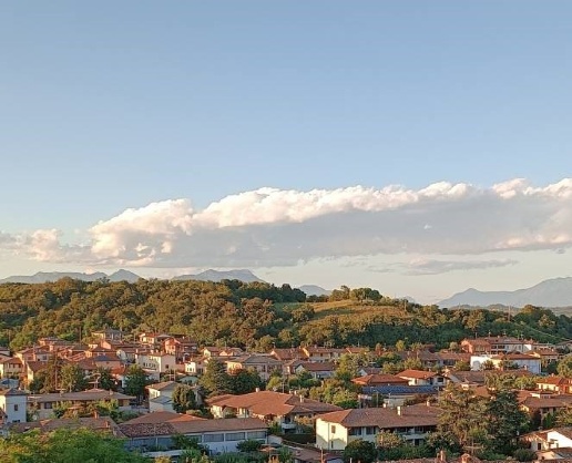 immagine annuncio 5 di 8