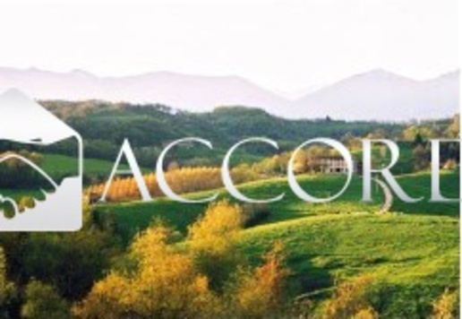 immagine annuncio 1 di 6