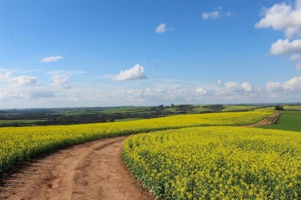 Foto Villa unifamiliare in Via Montefiore, Formello di 460 m² con 12 locali