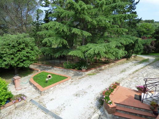 casa indipendente in vendita a Campiglia Marittima
