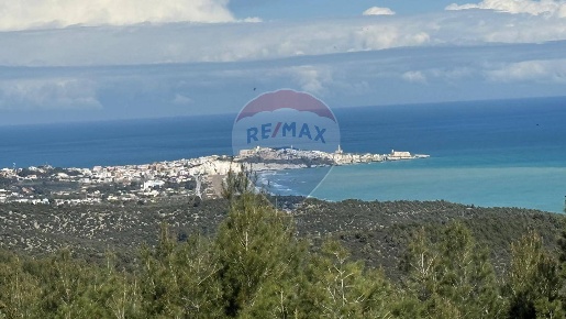 Foto Villa in Località Lama Le Canne, Vieste in vendita