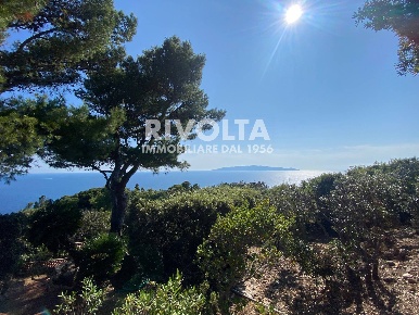 Foto Villa in Località Cala Piccola, Monte Argentario in affitto