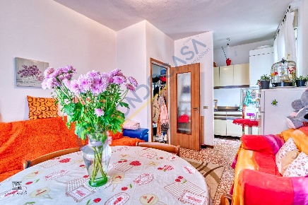 Foto Appartamento in Via Crivelli, Varedo di 48 m² con 2 locali in vendita