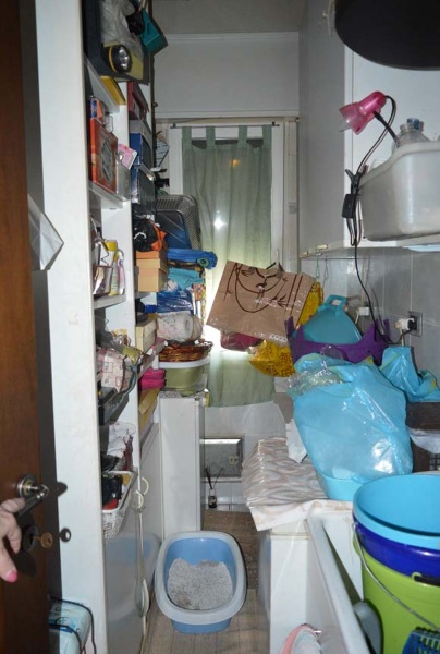 immagine annuncio 6 di 14