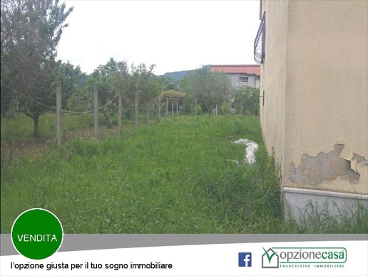 immagine annuncio 5 di 6