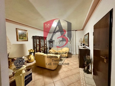 Foto Villa unifamiliare a Vecchiano Migliarino di 270 m² con 7 locali
