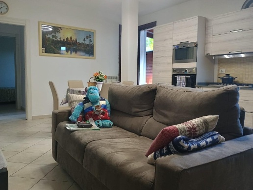 immagine annuncio 2 di 11