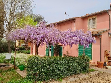 Foto Casa indipendente a Casciana Terme Lari Le Casine Perignano Spinelli
