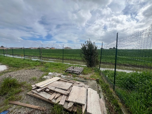 immagine annuncio 6 di 7