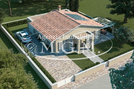 immagine annuncio 3 di 11