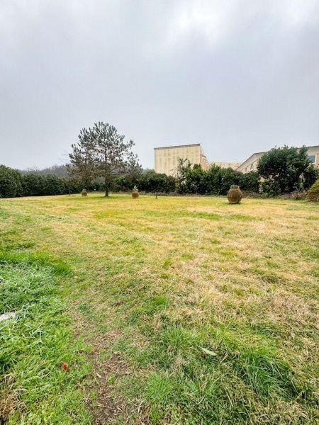 immagine annuncio 8 di 14