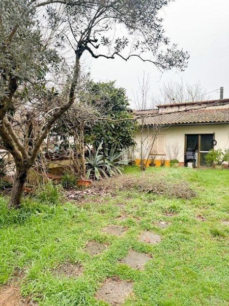 immagine annuncio 10 di 14