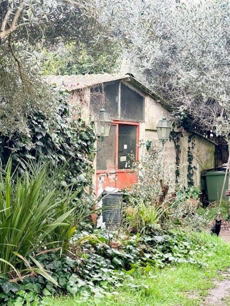 immagine annuncio 11 di 14