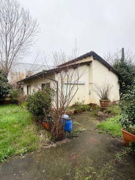 immagine annuncio 12 di 14