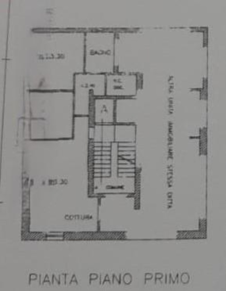 immagine annuncio 9 di 11