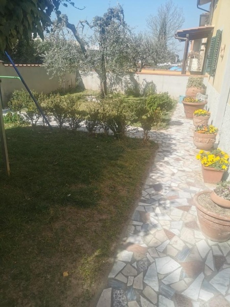 immagine annuncio 3 di 14