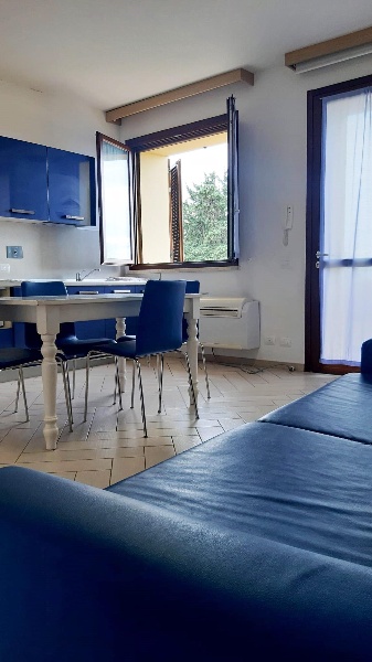 immagine annuncio 4 di 14