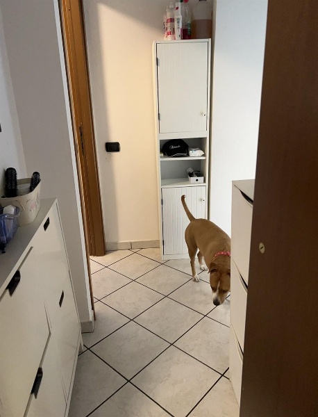 immagine annuncio 6 di 7