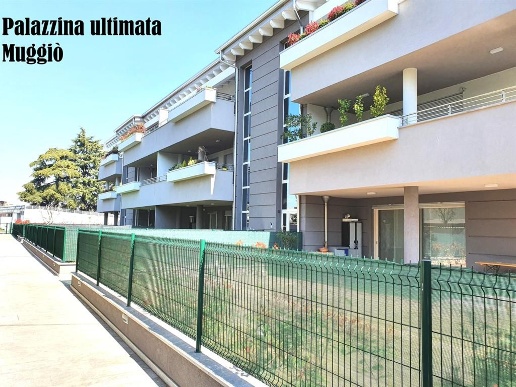 immagine annuncio 12 di 15