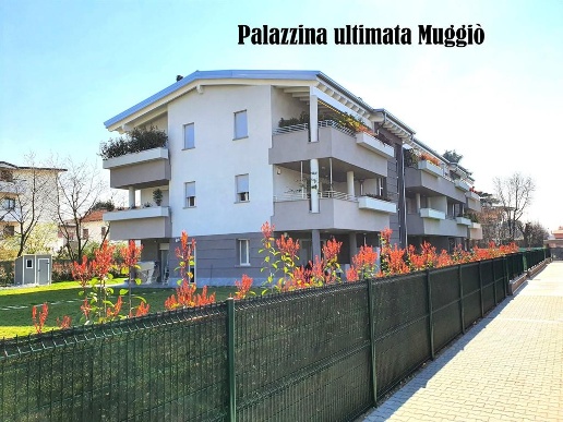 immagine annuncio 13 di 15