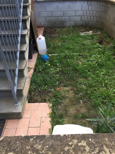 immagine annuncio 3 di 14