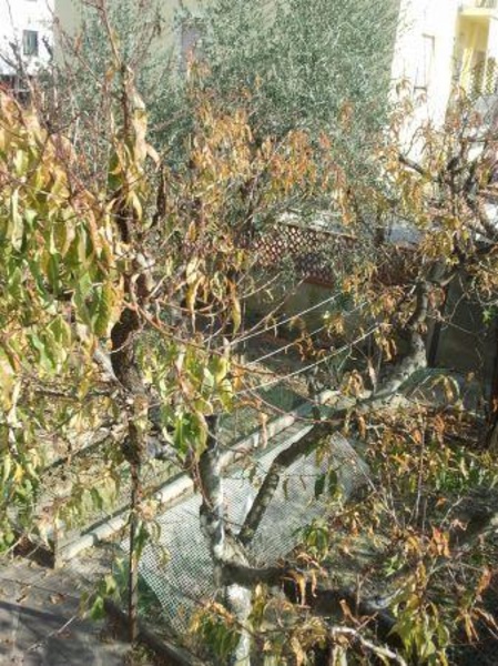 immagine annuncio 8 di 9