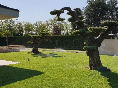 Foto Appartamento a Mestrino Centro di 125 m² con 4 locali in vendita