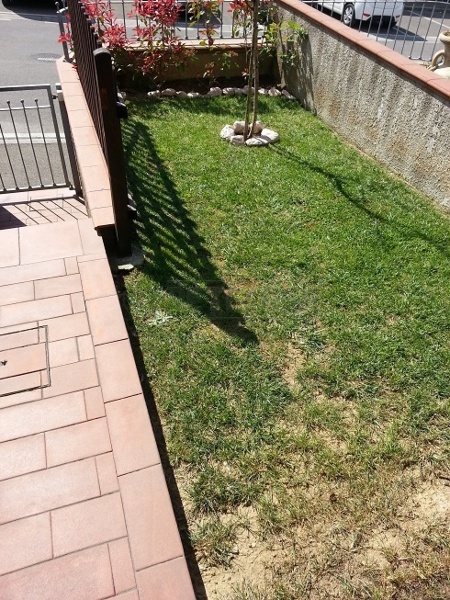 immagine annuncio 10 di 14