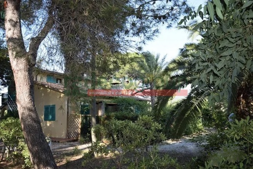 immagine annuncio 1 di 6